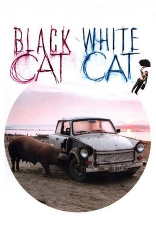Черная кошка, белый кот (1998)